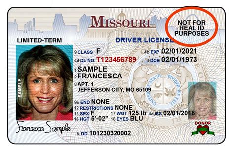 Missouri driver's permit renewal - 